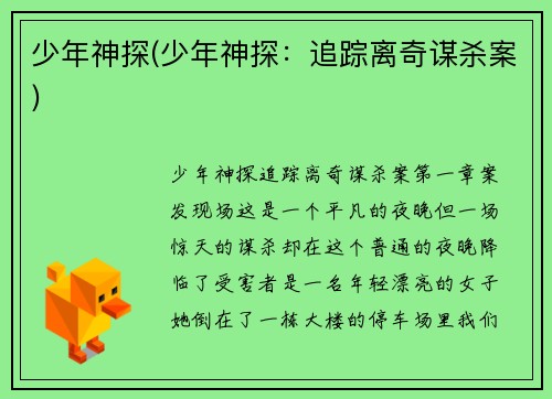 少年神探(少年神探：追踪离奇谋杀案)